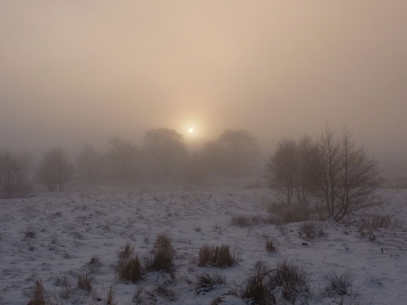 Misty View